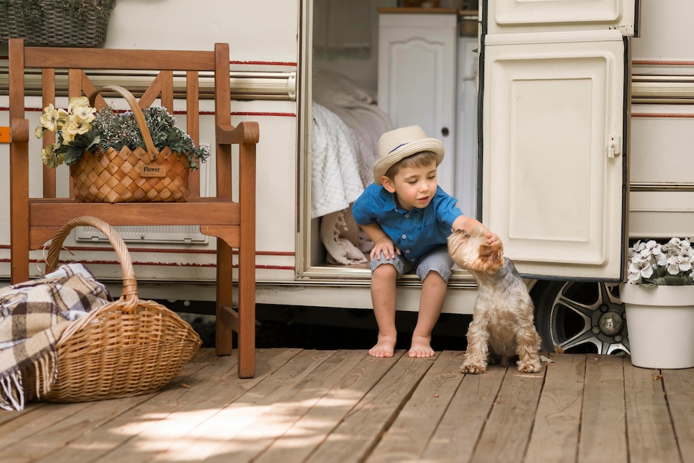 Move Pets offers safe and seamless pet relocation services worldwide. Trusted specialists in international and domestic pet transport.